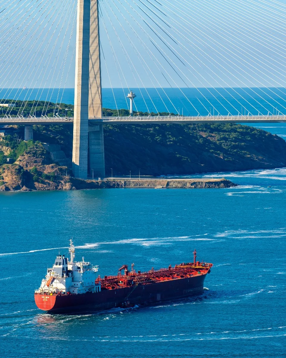 Navire de commerce rouge naviguant sous un pont à haubans