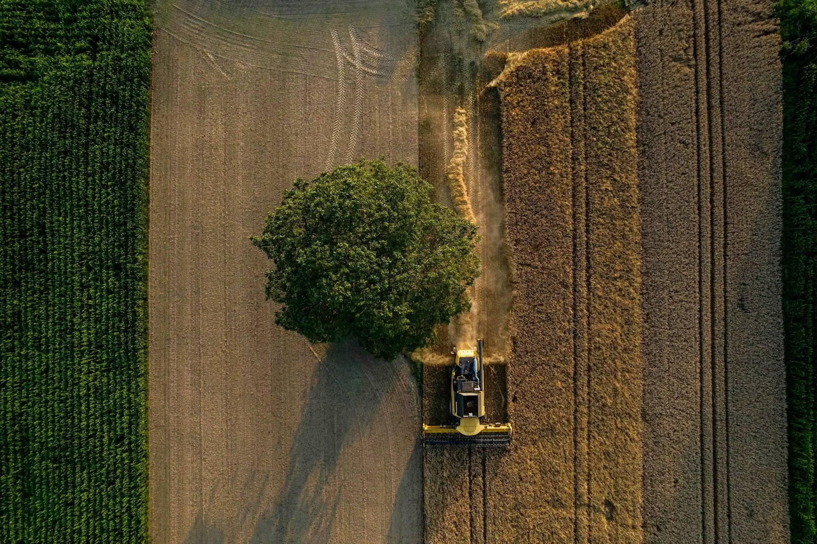 Vue aérienne d'une moissonneuse dans un champ